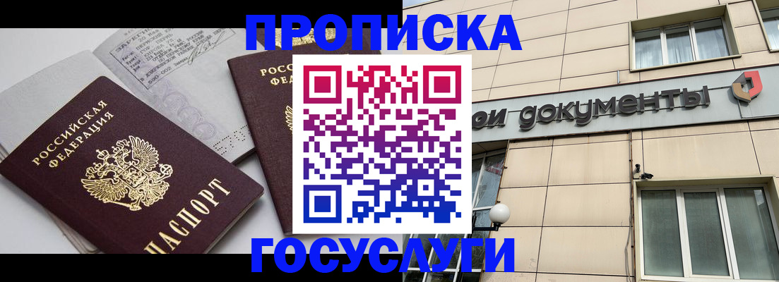 временная регистрация поиск в Павловске